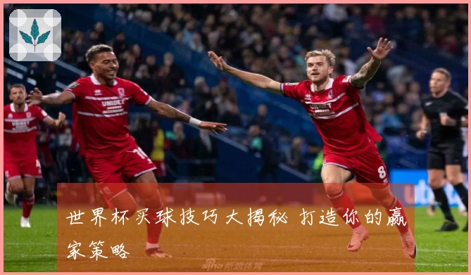 世界杯买球技巧大揭秘 打造你的赢家策略
