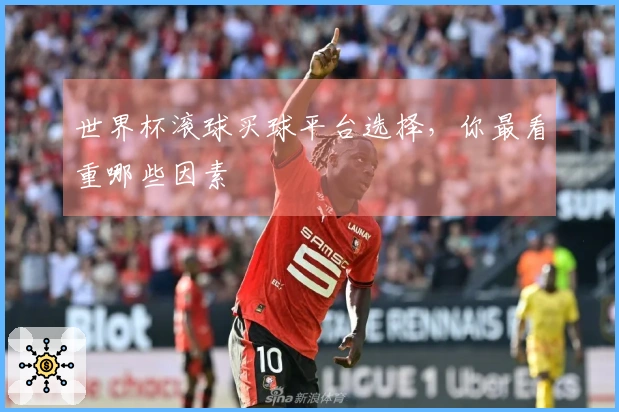 世界杯滚球买球平台选择，你最看重哪些因素