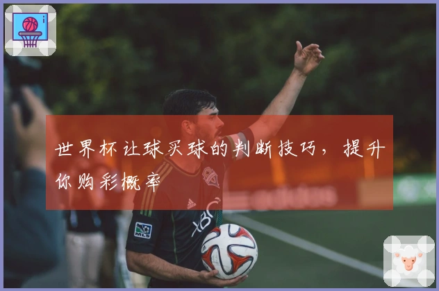 世界杯让球买球的判断技巧，提升你购彩概率