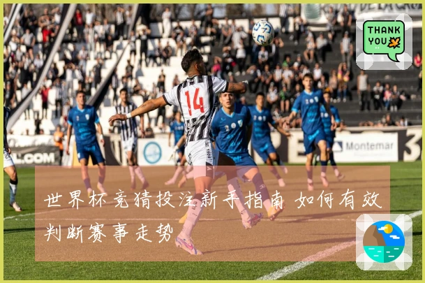 世界杯竞猜投注新手指南 如何有效判断赛事走势