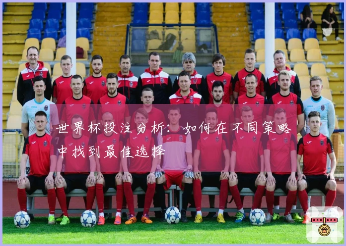 世界杯投注分析：如何在不同策略中找到最佳选择