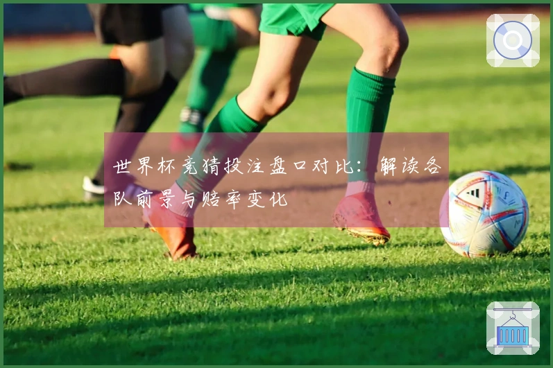 世界杯竞猜投注盘口对比：解读各队前景与赔率变化