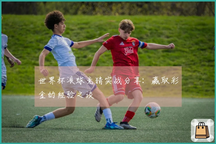 世界杯滚球竞猜实战分享：赢取彩金的经验之谈
