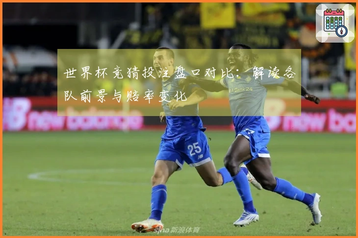 世界杯竞猜投注盘口对比：解读各队前景与赔率变化