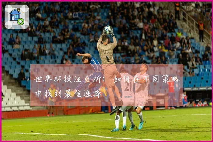世界杯投注分析：如何在不同策略中找到最佳选择