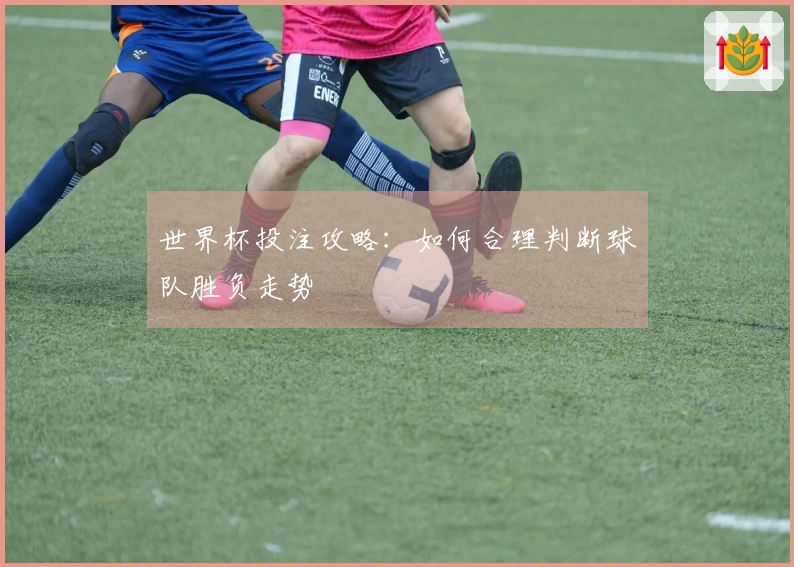 世界杯投注攻略：如何合理判断球队胜负走势