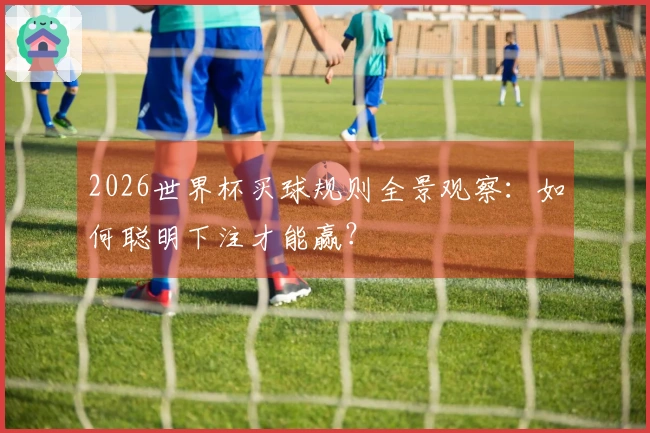 2026世界杯买球规则全景观察：如何聪明下注才能赢？