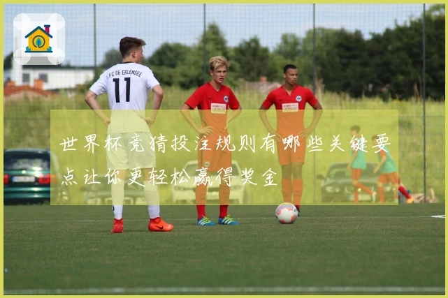 世界杯竞猜投注规则有哪些关键要点让你更轻松赢得奖金