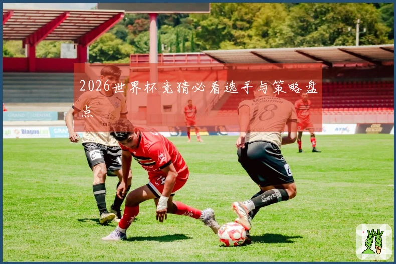2026世界杯竞猜必看选手与策略盘点
