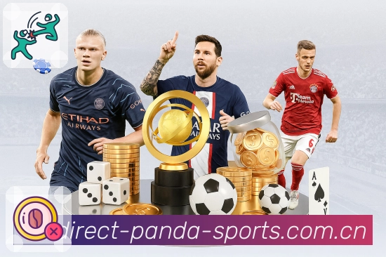 稳定访问 - 备用网址与访问诊断工具